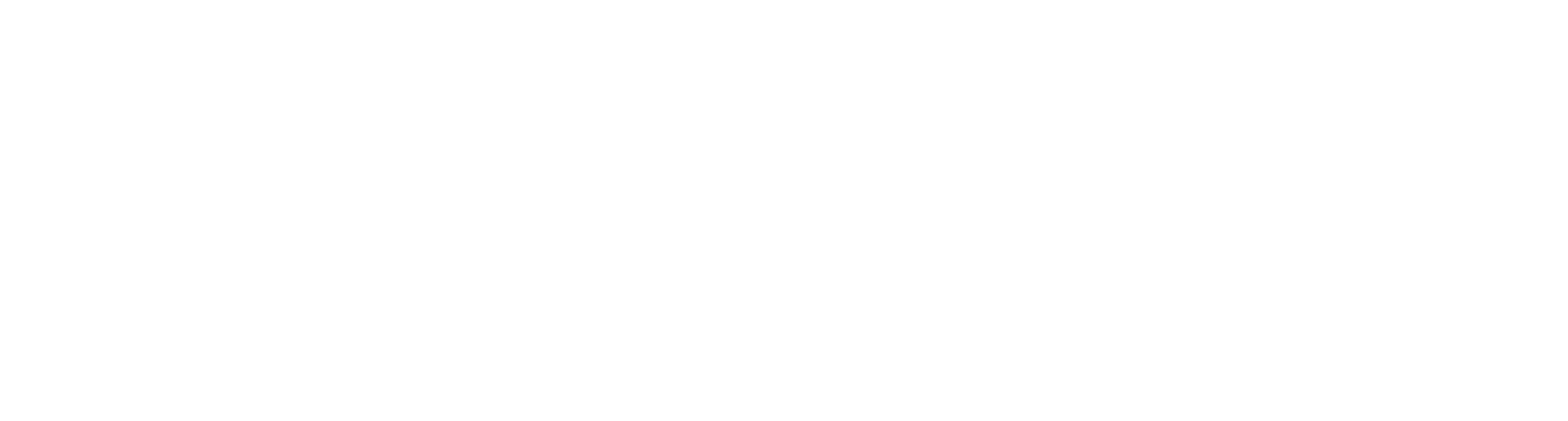 vibexstore logo