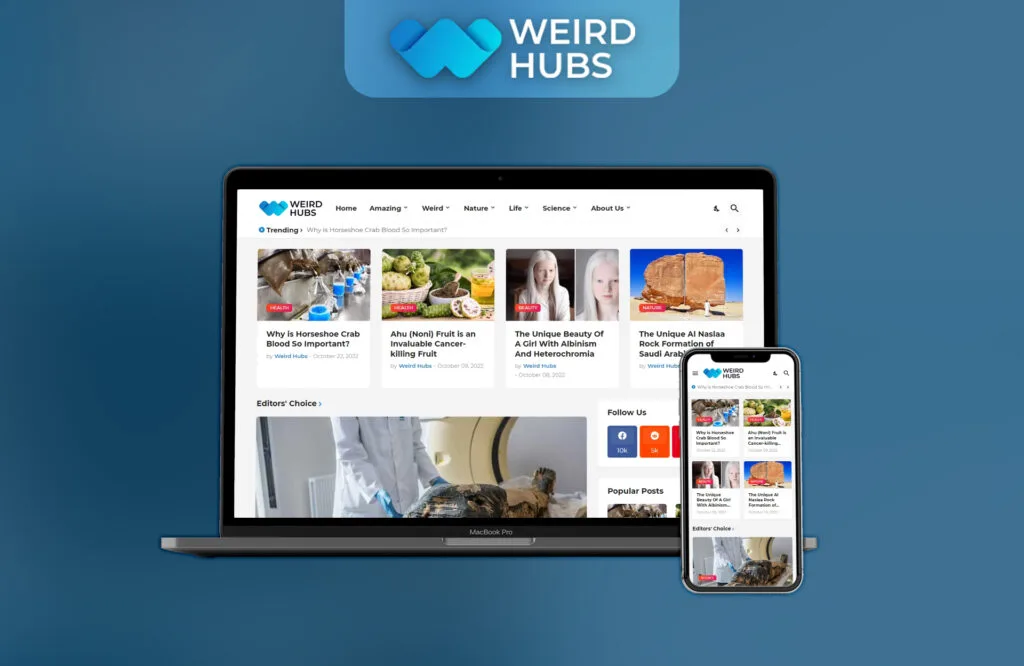 Weird Hubs Website Development